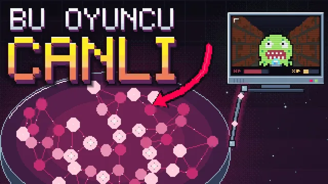 Video kapağı: Bu oyuncu canlı. Tabaktaki nöronlar ve DOOM oynanan ekran.